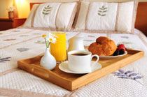 Bio Hotels