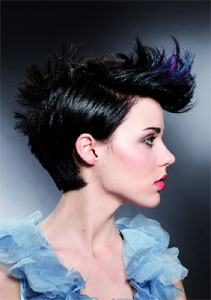 Short Cut 2010