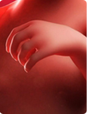 Baby in der 13. SSW