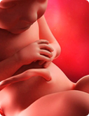 Baby in der 34. SSW